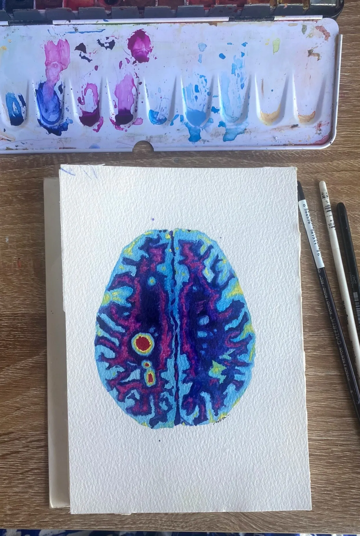 La coupe de cerveau peinte, sur le papier