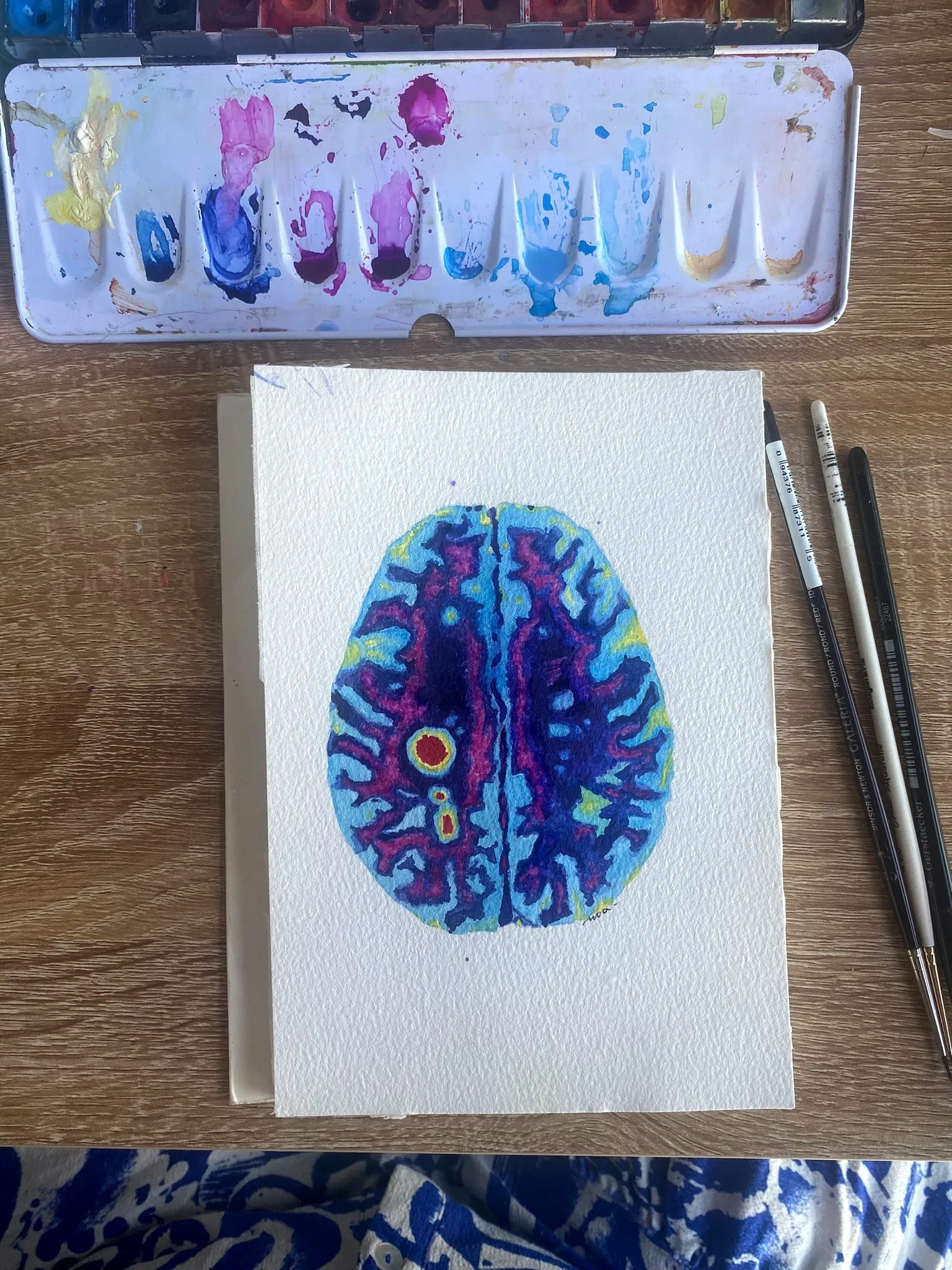 La coupe de cerveau peinte, sur le papier