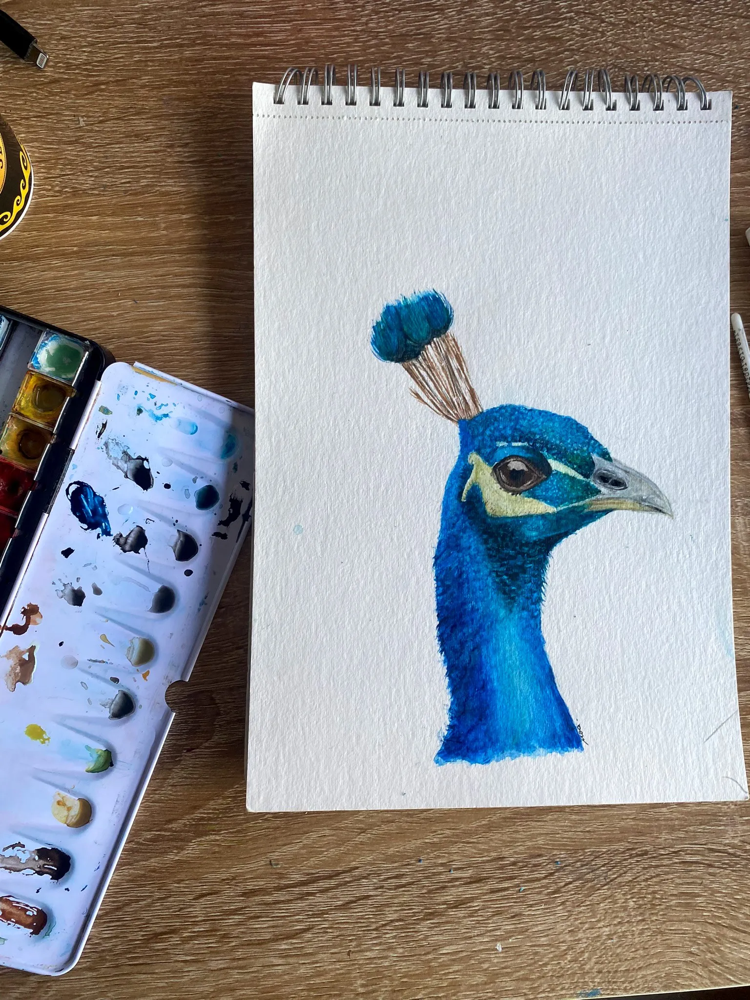 La tête de paon peinte sur le carnet