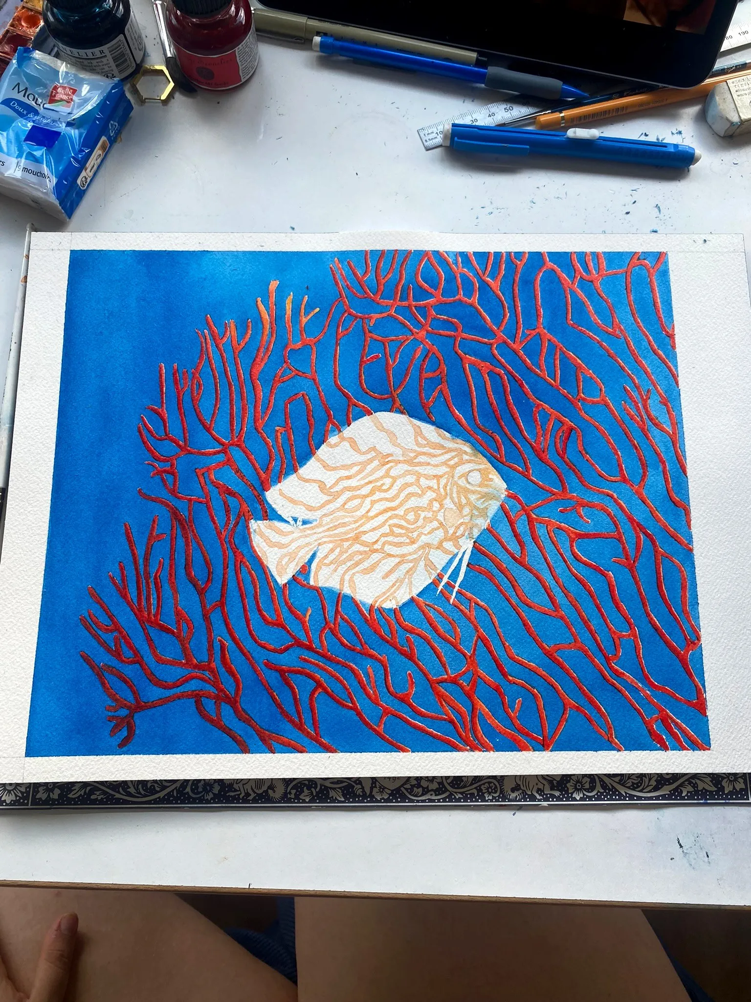 Corail rouge et fond bleu en cours