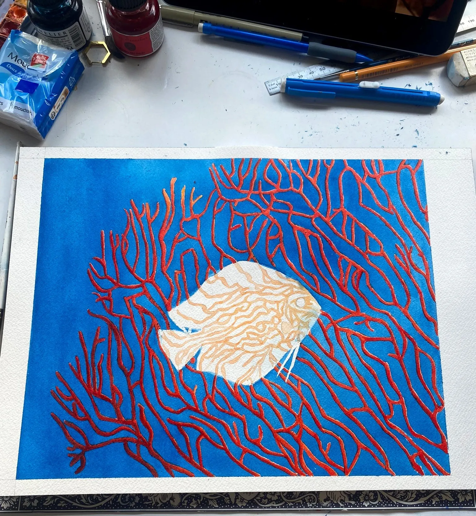 Corail rouge et fond bleu en cours