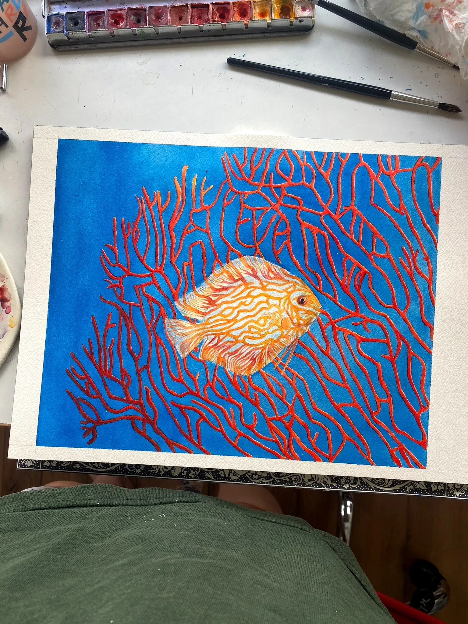 Contrastes renforcés sur le poisson